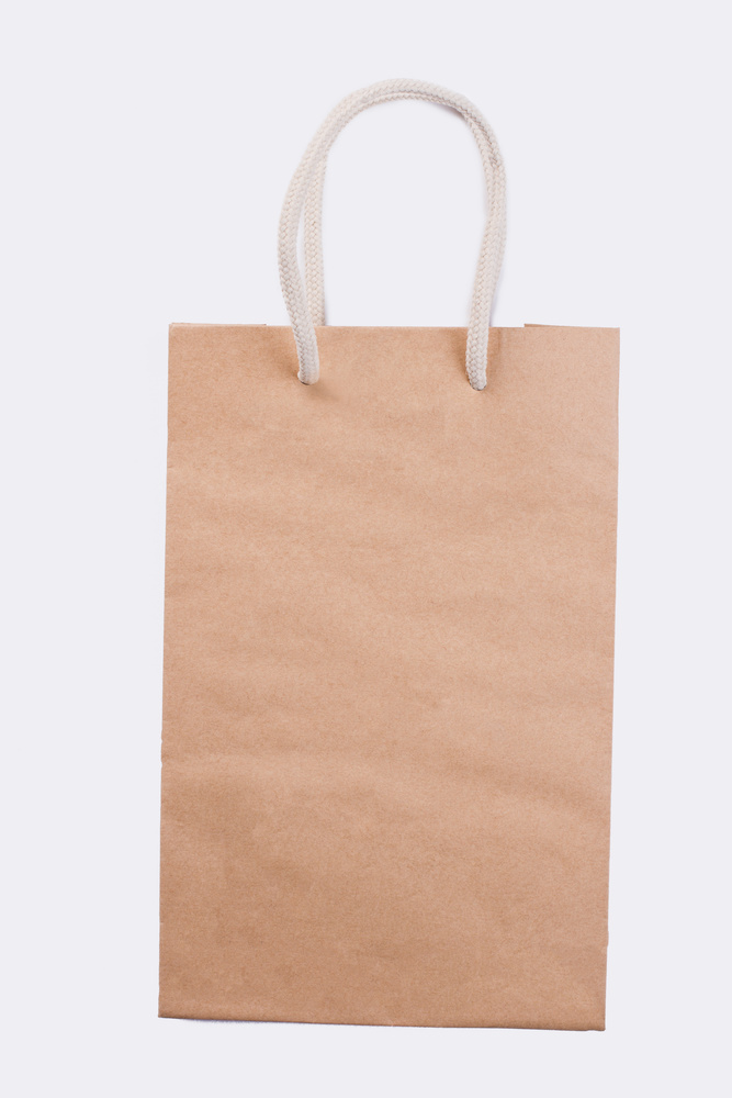 Natural kraft paper bag with white rope handles